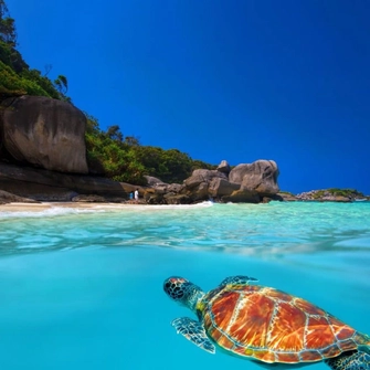 Ann & Co. Travel Agency Krabi