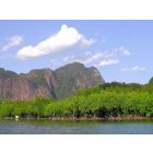 Kayaking Adventure in Ao Thalane  from Krabi , half-Day 