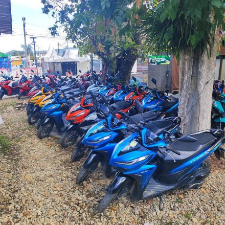 Scooter Rental 