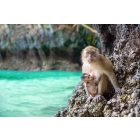 Phi Phi Islands Speedboat Full Day Tour  