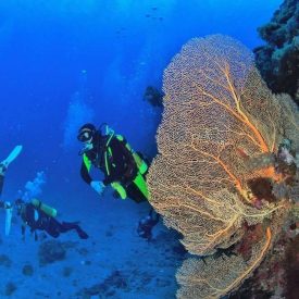 Búvárkodás Aonang helyi szigetein
