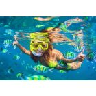 Snorkeling Trip to Phi Phi and Bamboo Islands from Phuket  