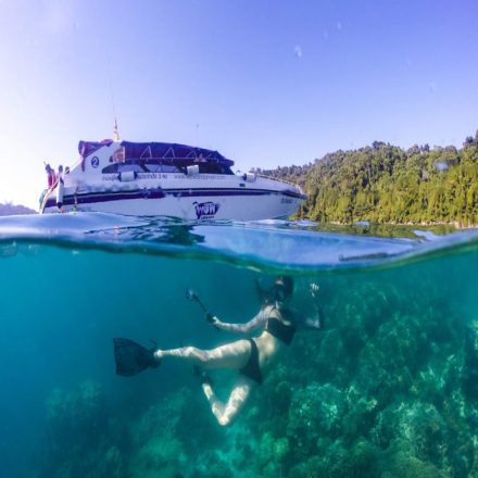  Day Trip to Surin Islands from Phuket