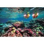 One-day snorkeling  trip to Koh Rok and Koh Haa (available from 15th of okt -till 15th of may)