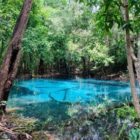 Hot Spring Waterfall and Emerald Pool with minivan  (E.4.)
