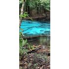 Hot Spring Waterfall and Emerald Pool with minivan  (E.4.)
