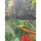 Kayak Tour on the Klong Root River