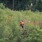 Zip line adventures for adrenaline dependers