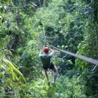 Zip line adventures for adrenaline dependers