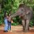 Elephant Programs in Phuket