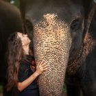 Elephant Programs in Phuket