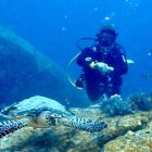 Buvárkodás Micivel Khao Lak