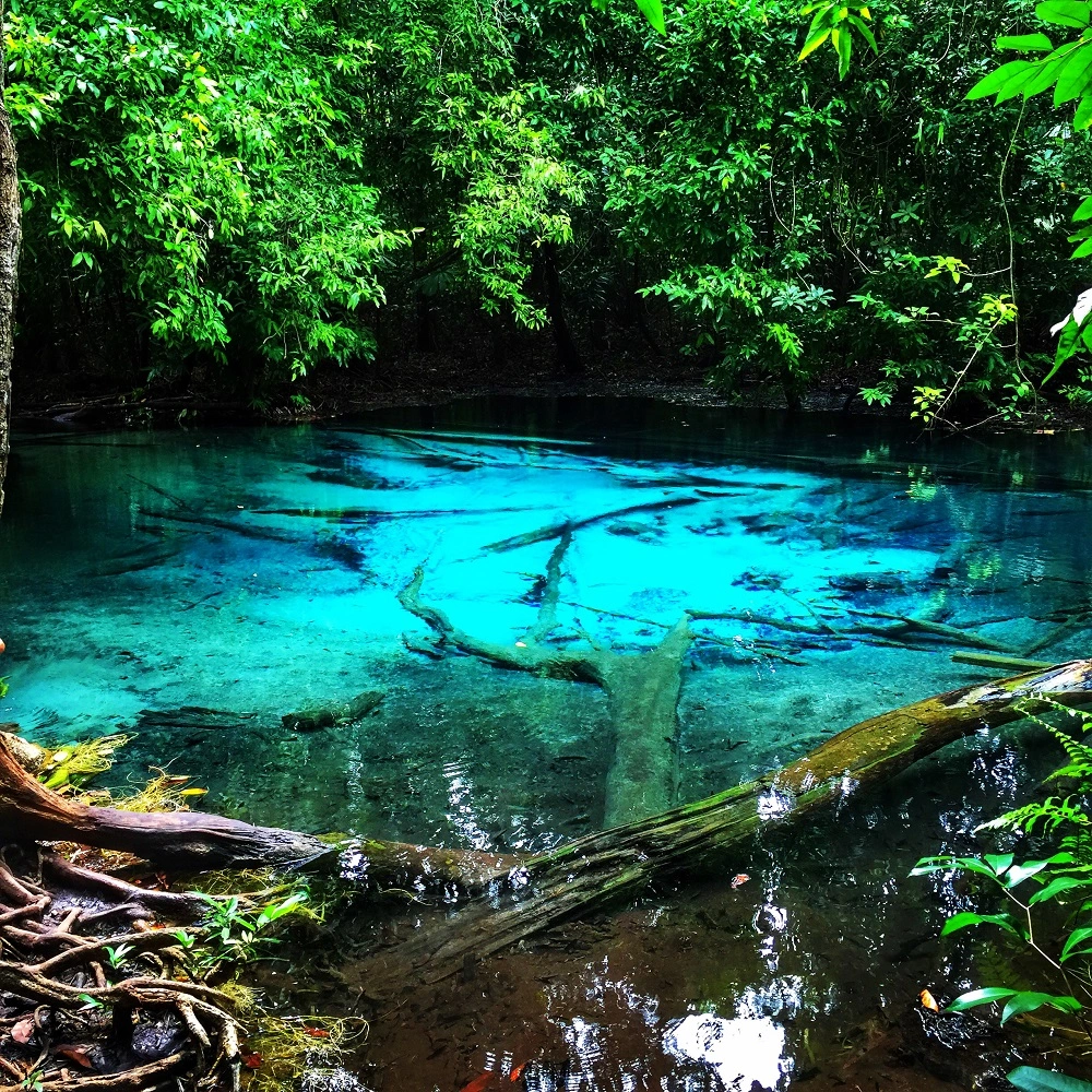 The Secret Crystal Pools of Krabi and Local Legends – Discover What Lies Beyond the Crowds