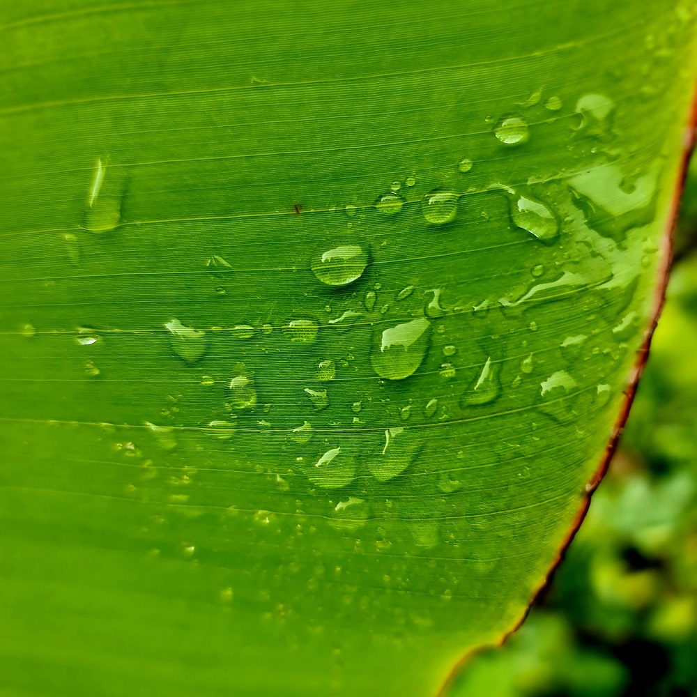 What to Know About Thailand’s Rainy Season Before You Travel